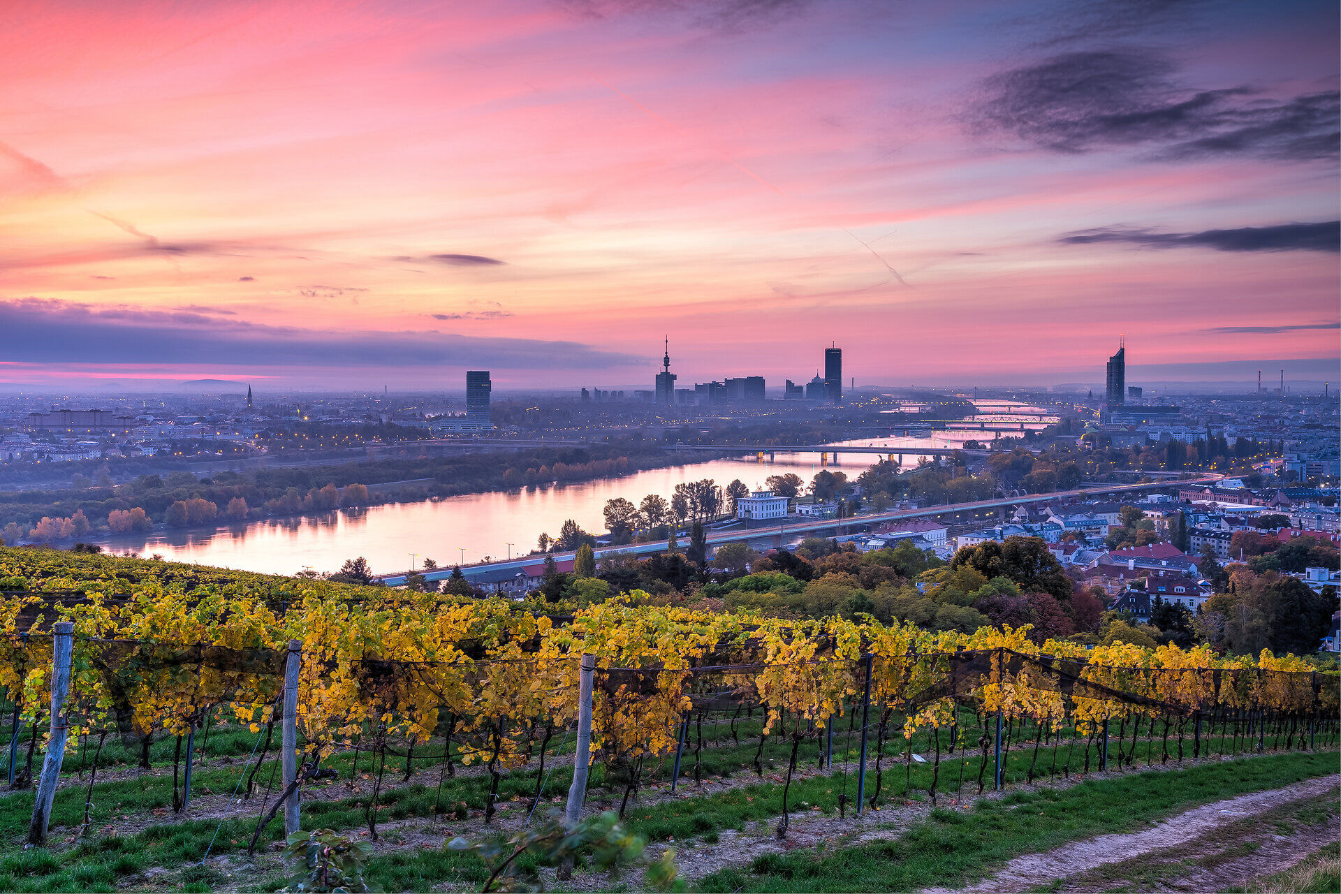 AdobeStock_176609372