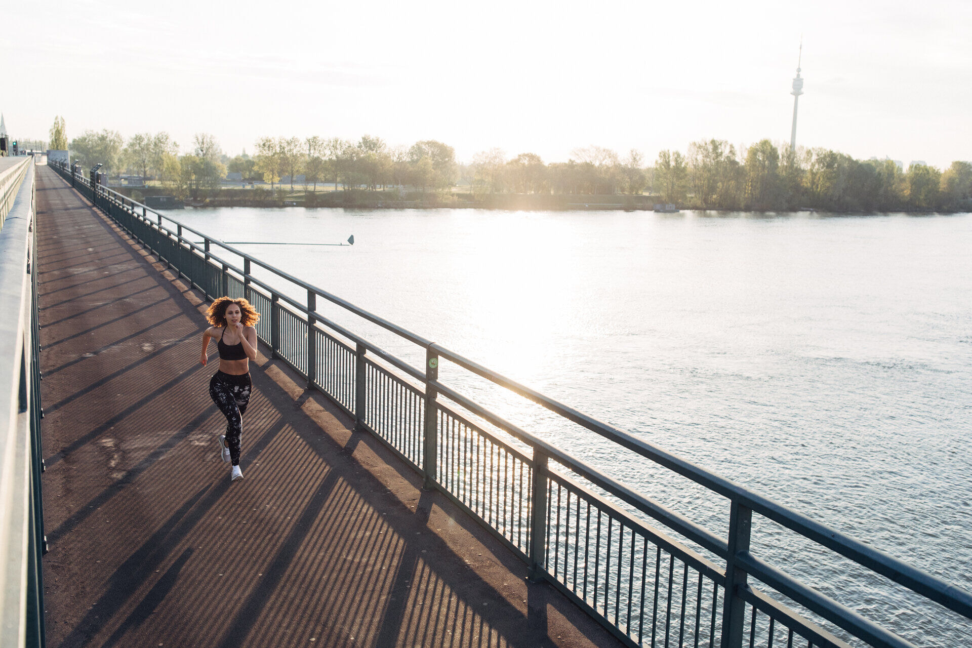 harryshome_wien_19_ap_dz-38-von-193